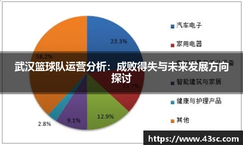 武汉篮球队运营分析：成败得失与未来发展方向探讨