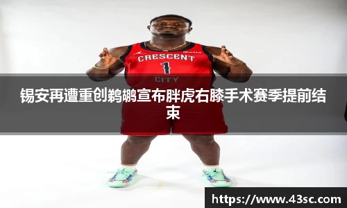 锡安再遭重创鹈鹕宣布胖虎右膝手术赛季提前结束